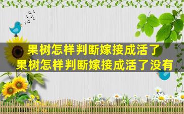 果树怎样判断嫁接成活了 果树怎样判断嫁接成活了没有